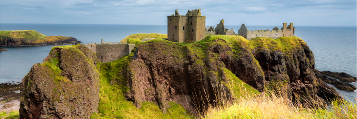 The ruins of Dunnottar Castle atop a grassy crag extending into the sea. Long green grass with white wild flowers are featured in the foreground.