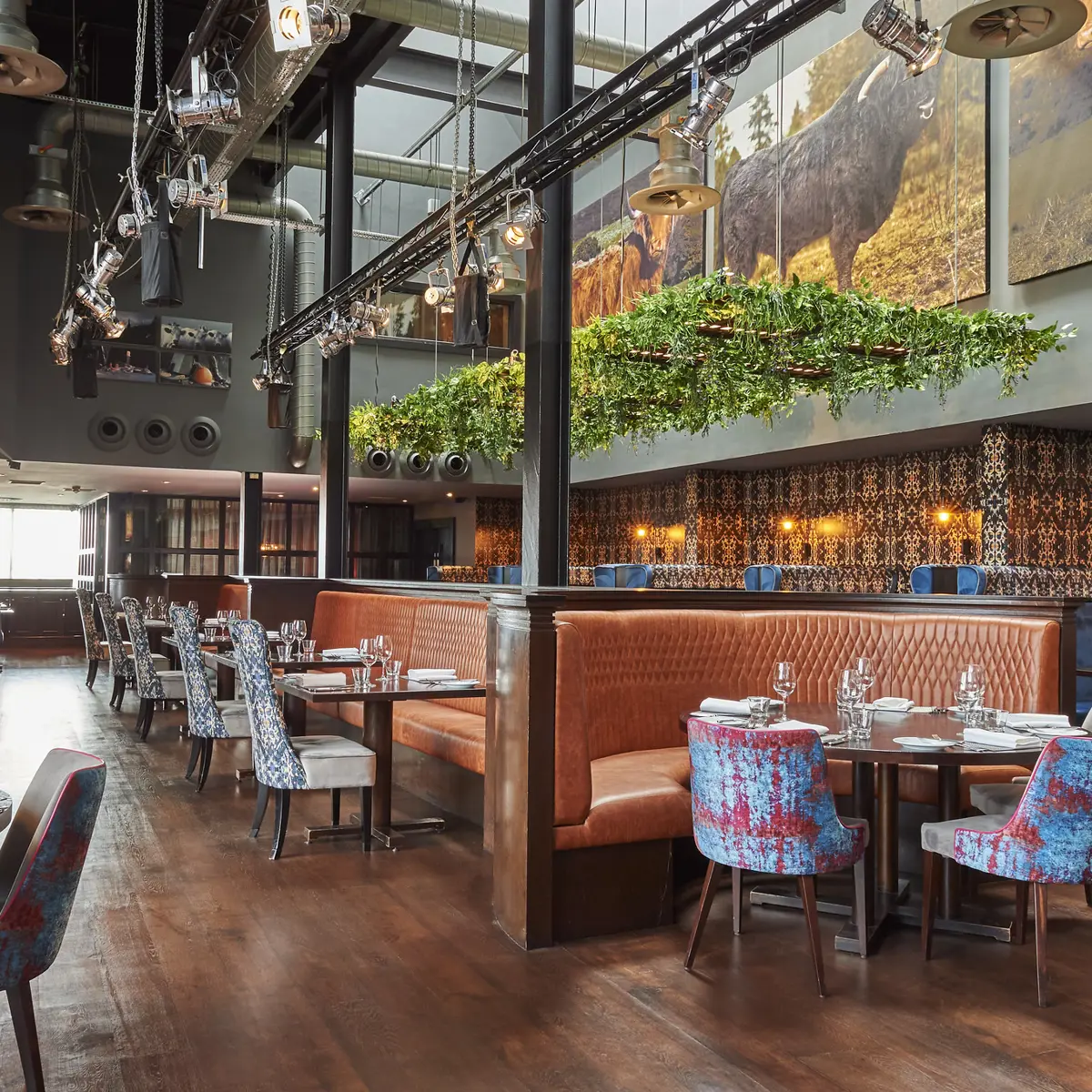 Malmaison Aberdeen Grill restaurant featuring booth seating, feature art on the walls, and overhead lighting rigs.